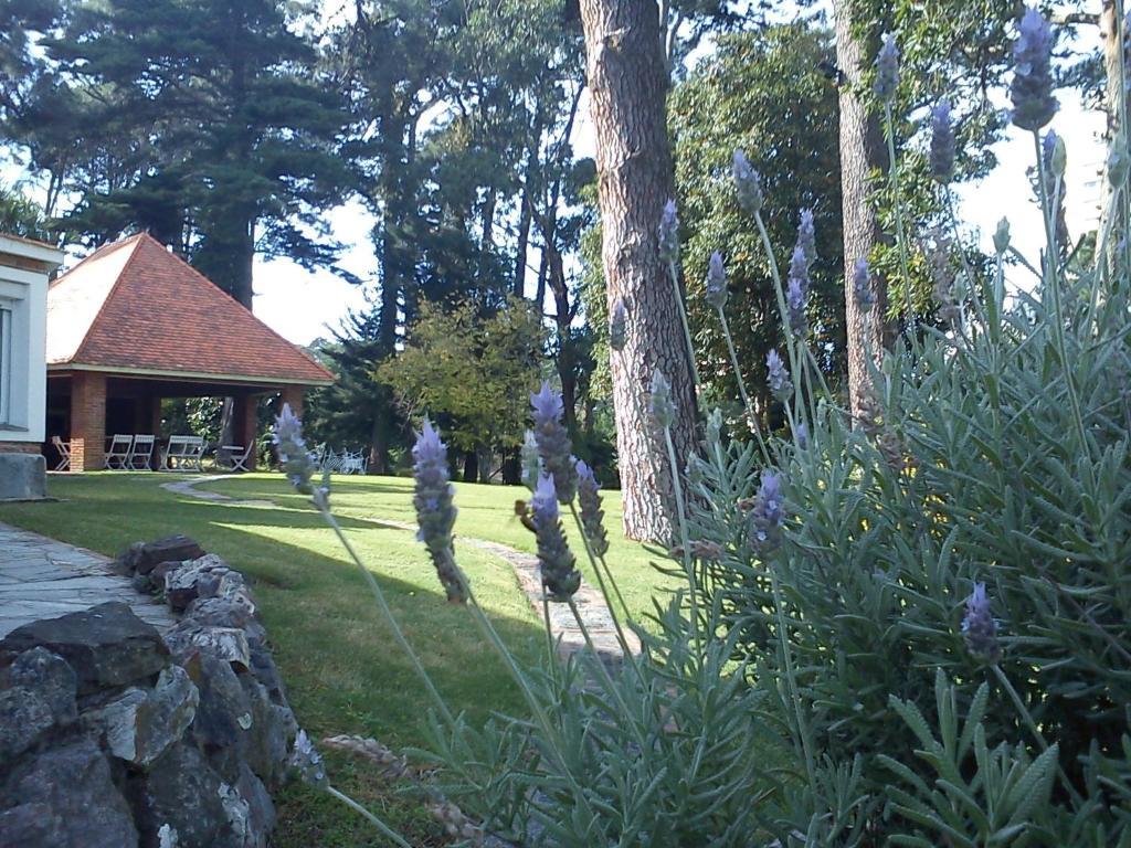Josephine Boutique Hotel Punta del Este Ngoại thất bức ảnh